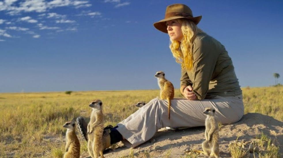 Woman sat with meerkats